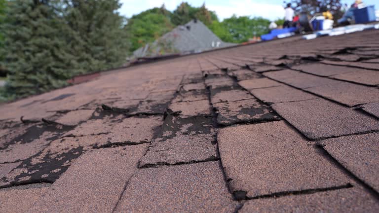 Best Hot Roofs  in Providence, RI