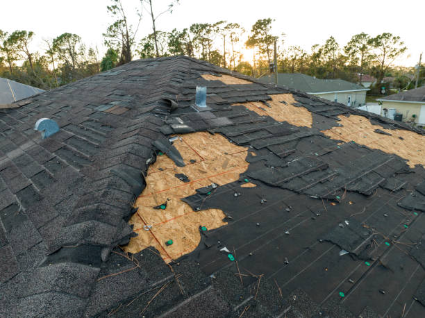 Best Rubber Roofing (EPDM, TPO)  in Providence, RI